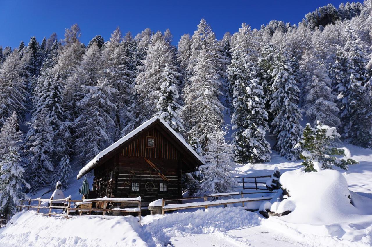 Bergheim Schmidt, Almhuetten Im Wald Appartments An Der Piste Alpine Huts In Forrest Appartments Near Slope Turracher Hohe Екстериор снимка