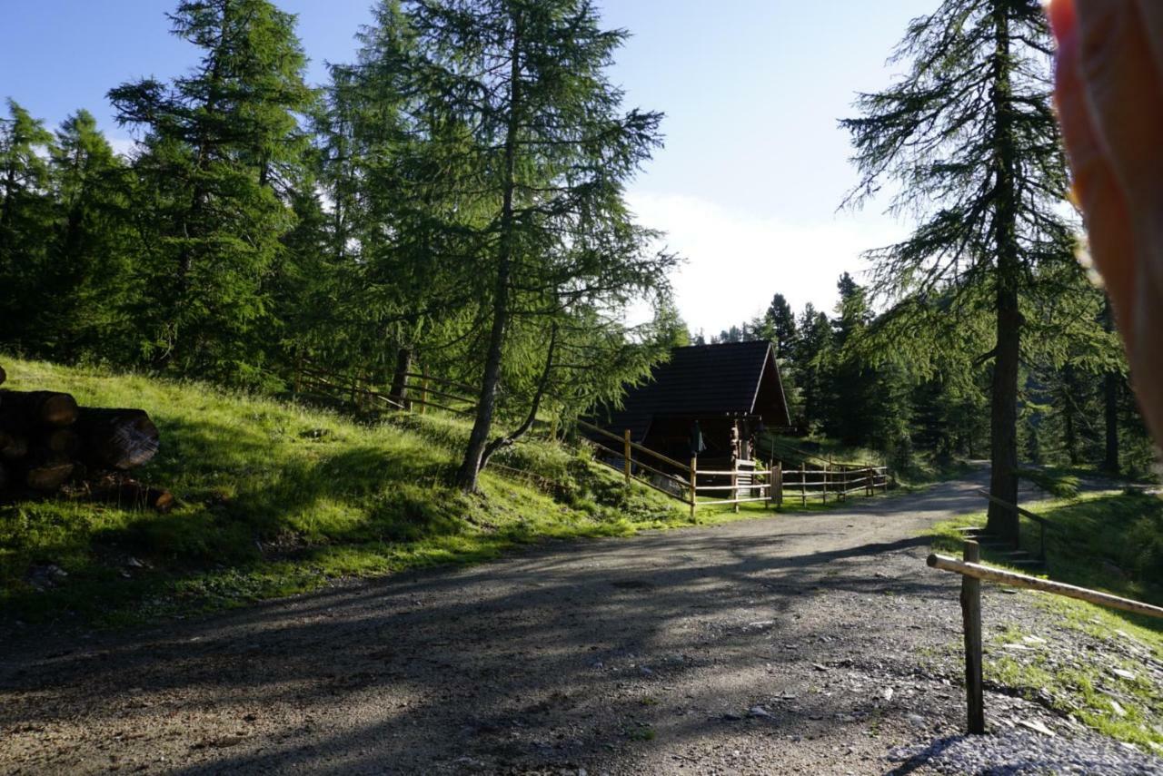 Bergheim Schmidt, Almhuetten Im Wald Appartments An Der Piste Alpine Huts In Forrest Appartments Near Slope Turracher Hohe Екстериор снимка