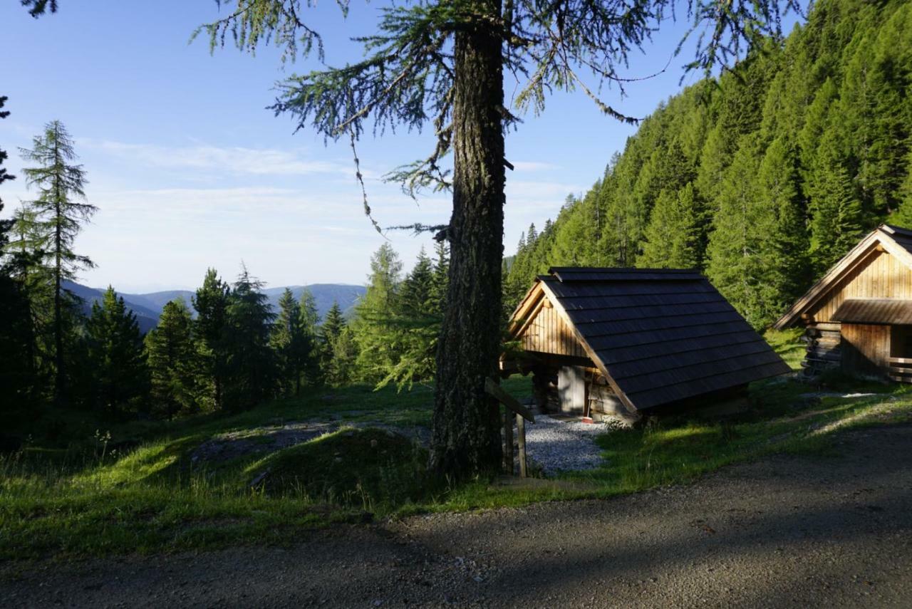 Bergheim Schmidt, Almhuetten Im Wald Appartments An Der Piste Alpine Huts In Forrest Appartments Near Slope Turracher Hohe Екстериор снимка